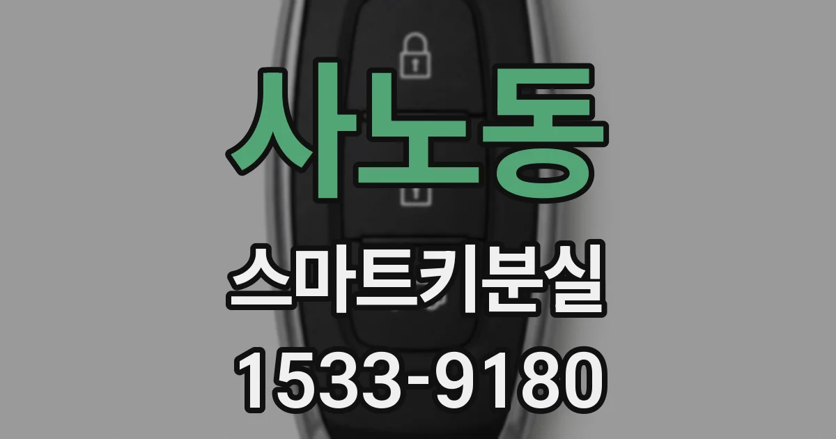 사노동 스마트키분실