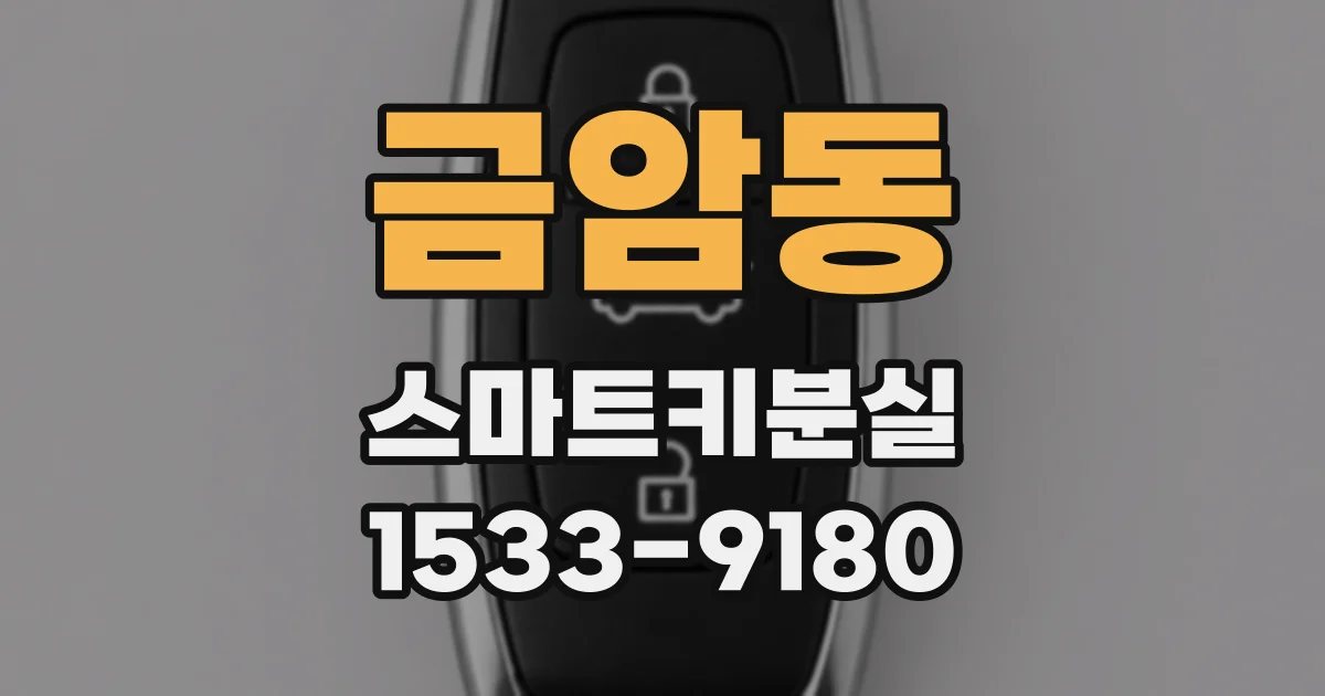 금암동 스마트키분실