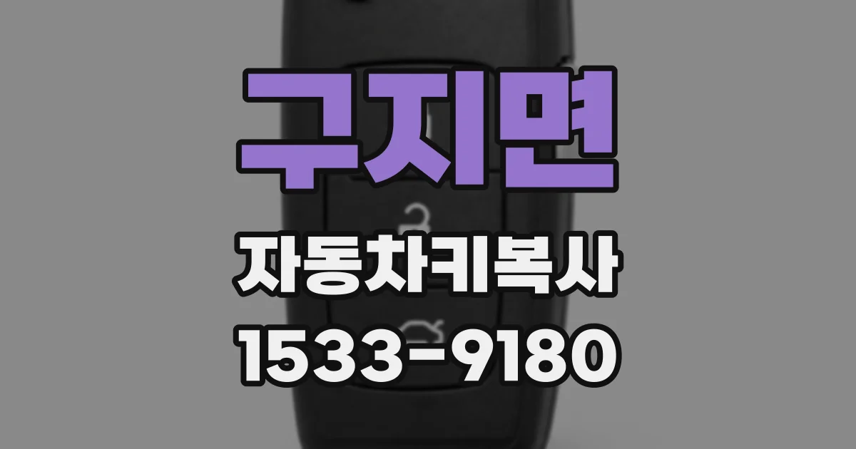 구지면 자동차키복사