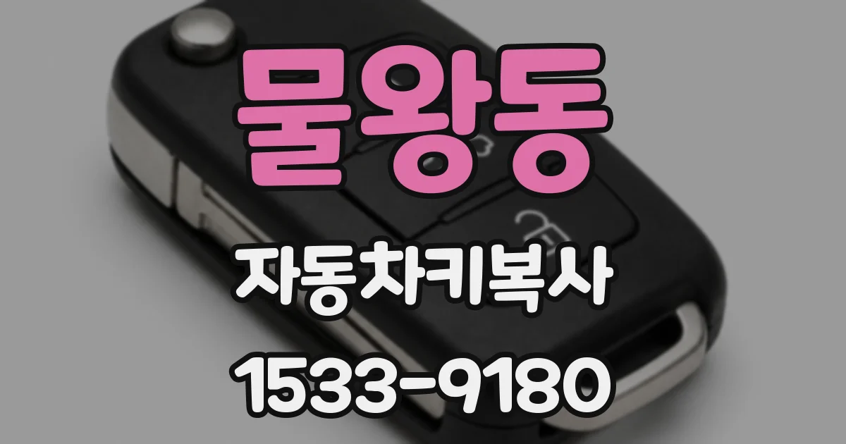 물왕동 자동차키복사