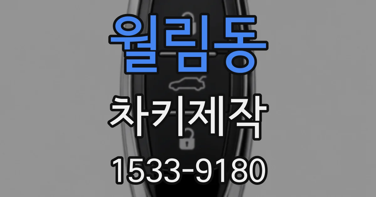 월림동 차키제작