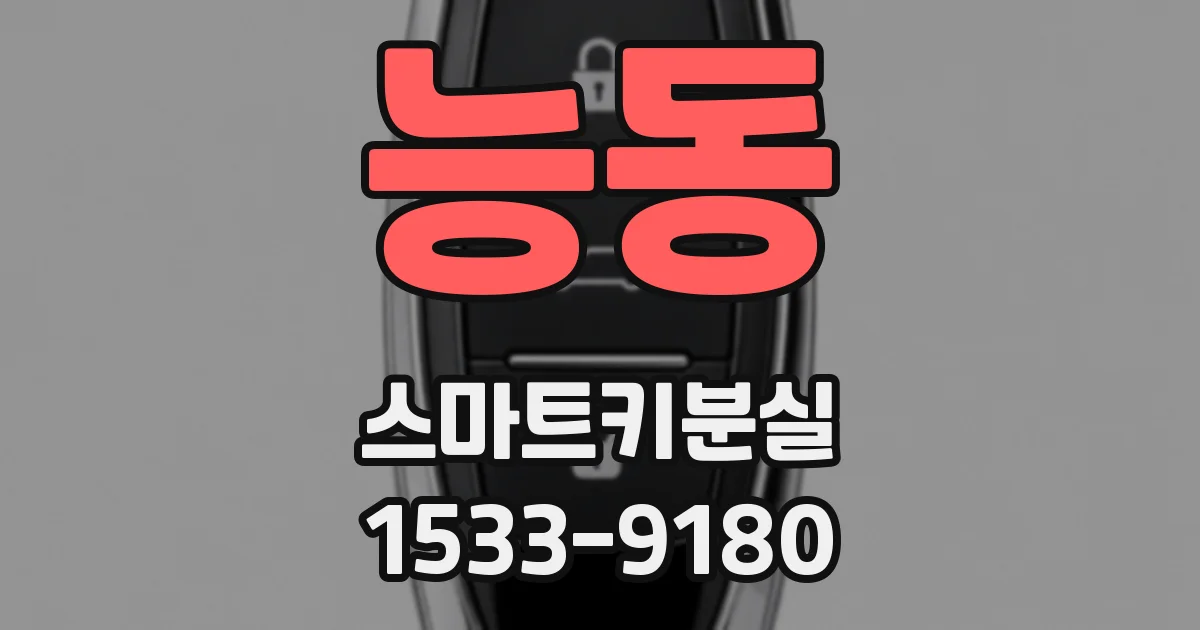 능동 스마트키분실