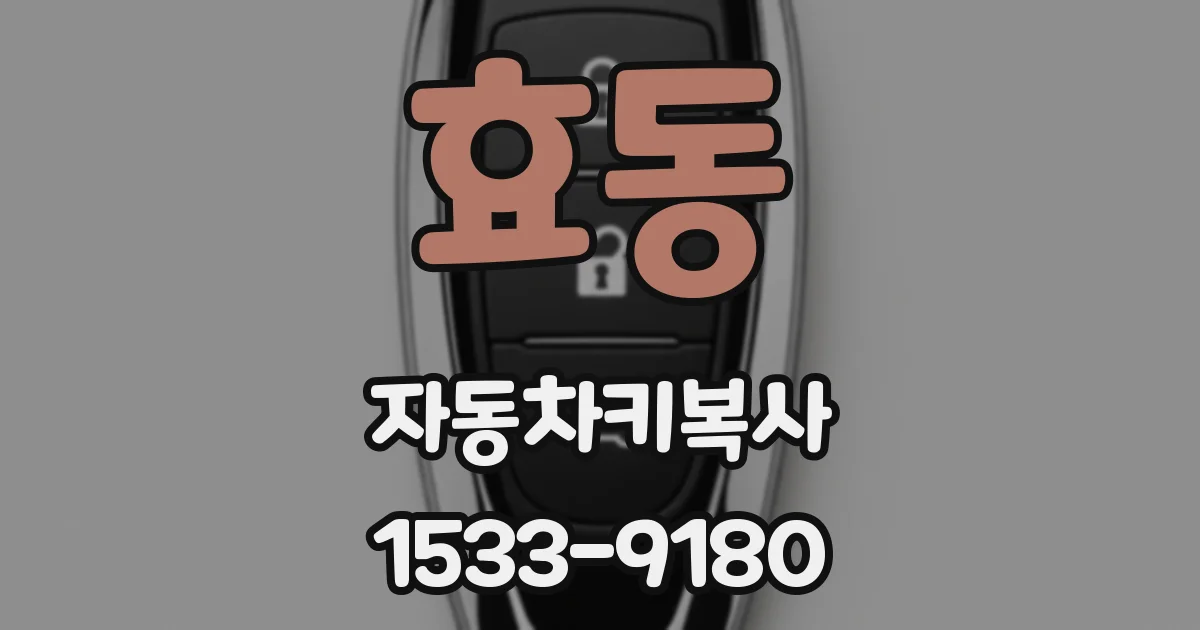 효동 자동차키복사