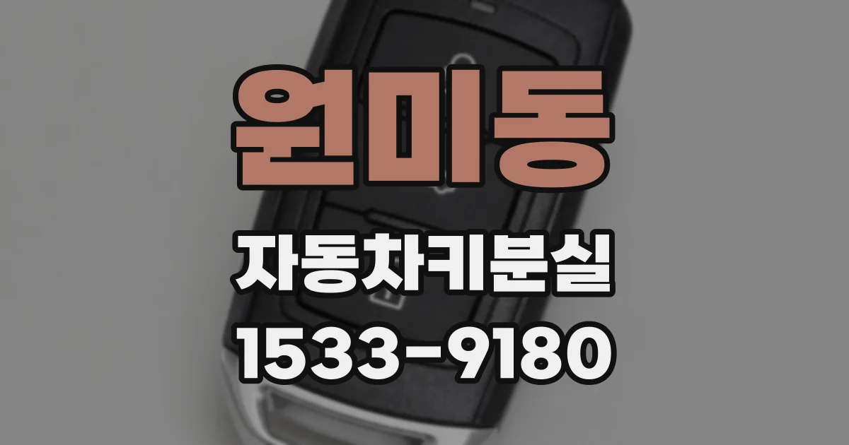 원미동 자동차키분실