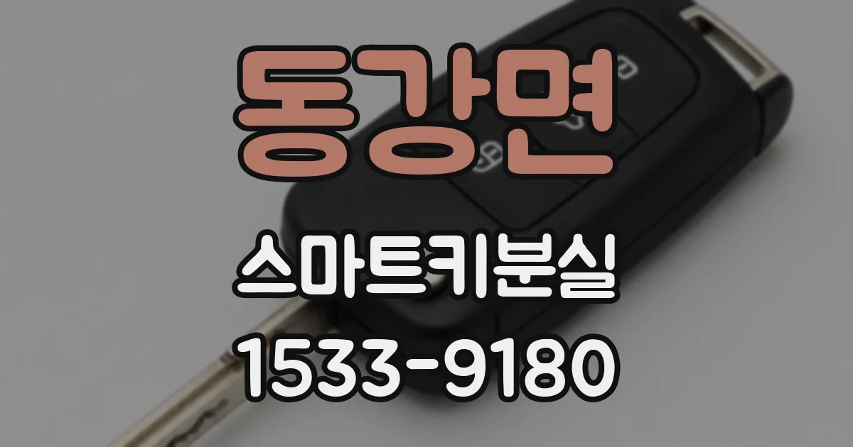 동강면 스마트키분실