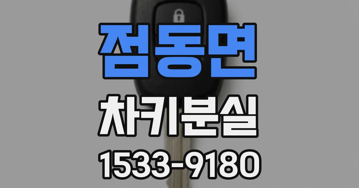 점동면 차키분실