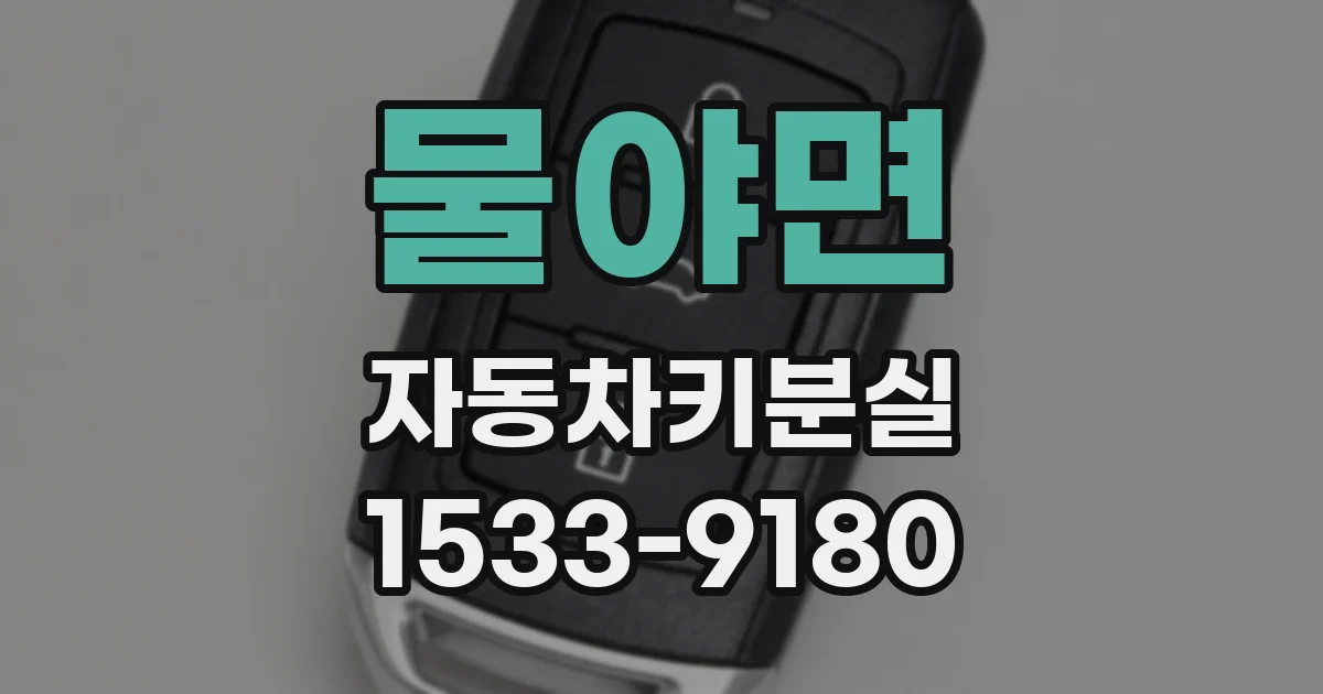 물야면 자동차키분실