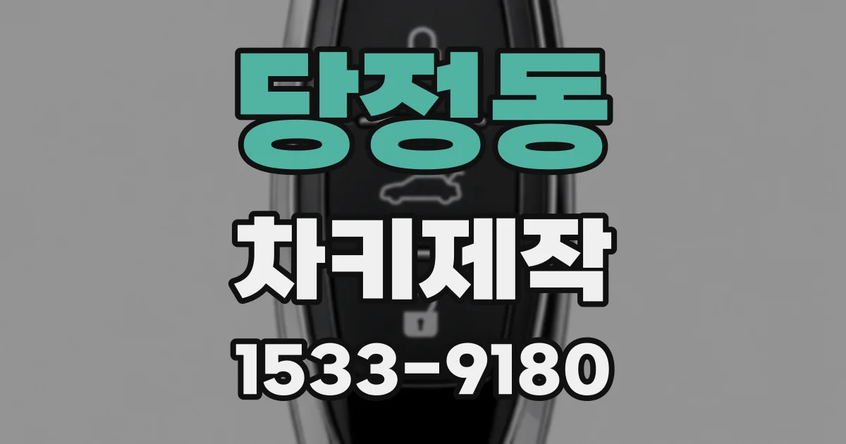 당정동 차키제작