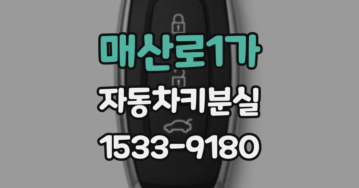 매산로1가 자동차키분실