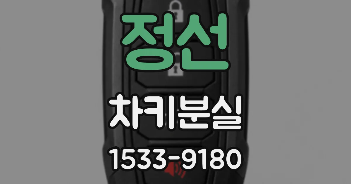 정선 차키분실