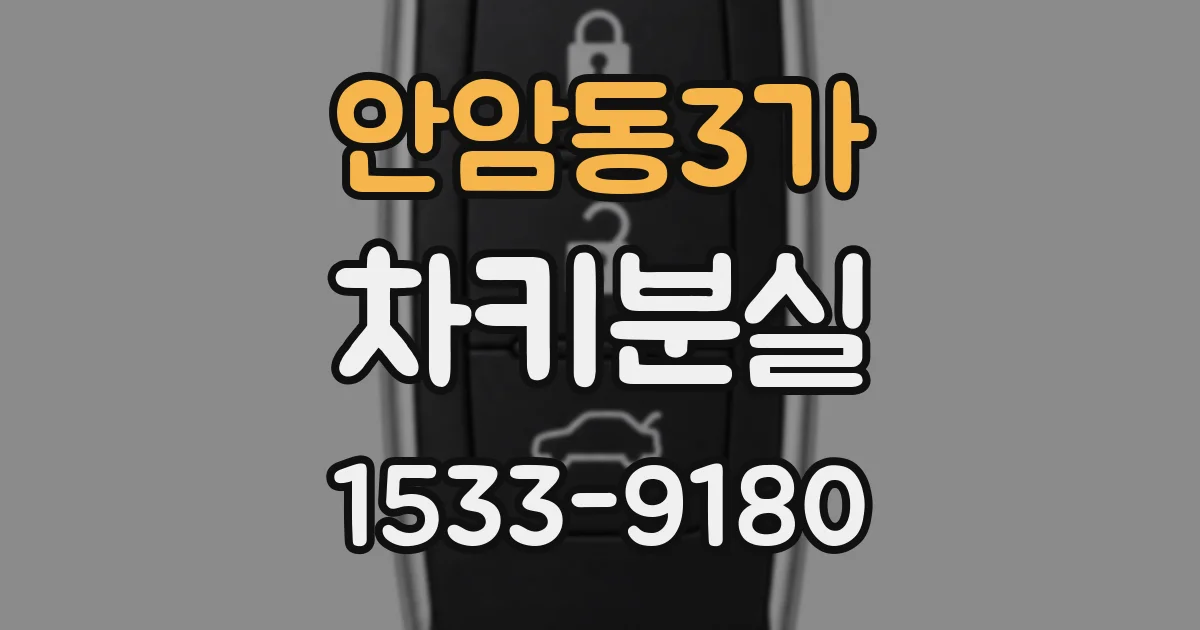 안암동3가 차키분실