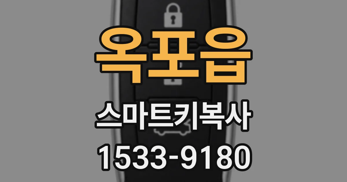 옥포읍 스마트키복사