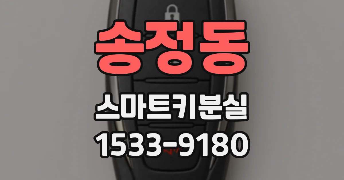 송정동 스마트키분실