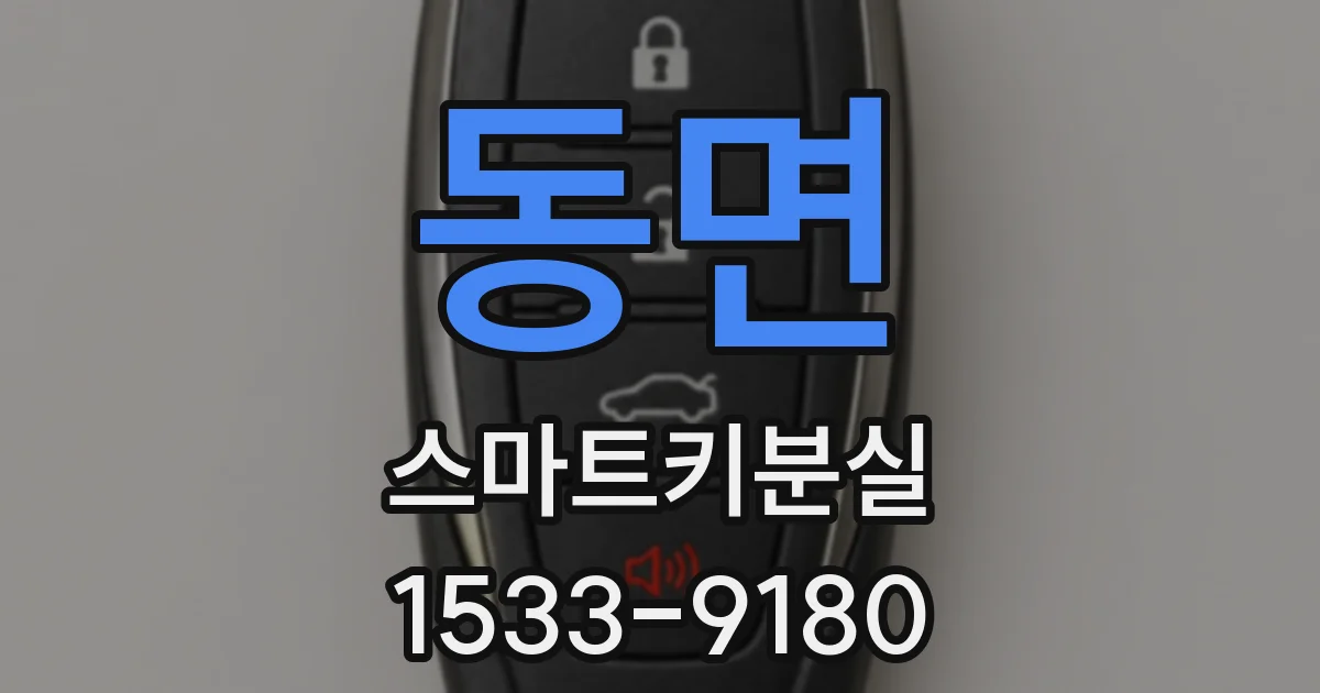 동면 스마트키분실