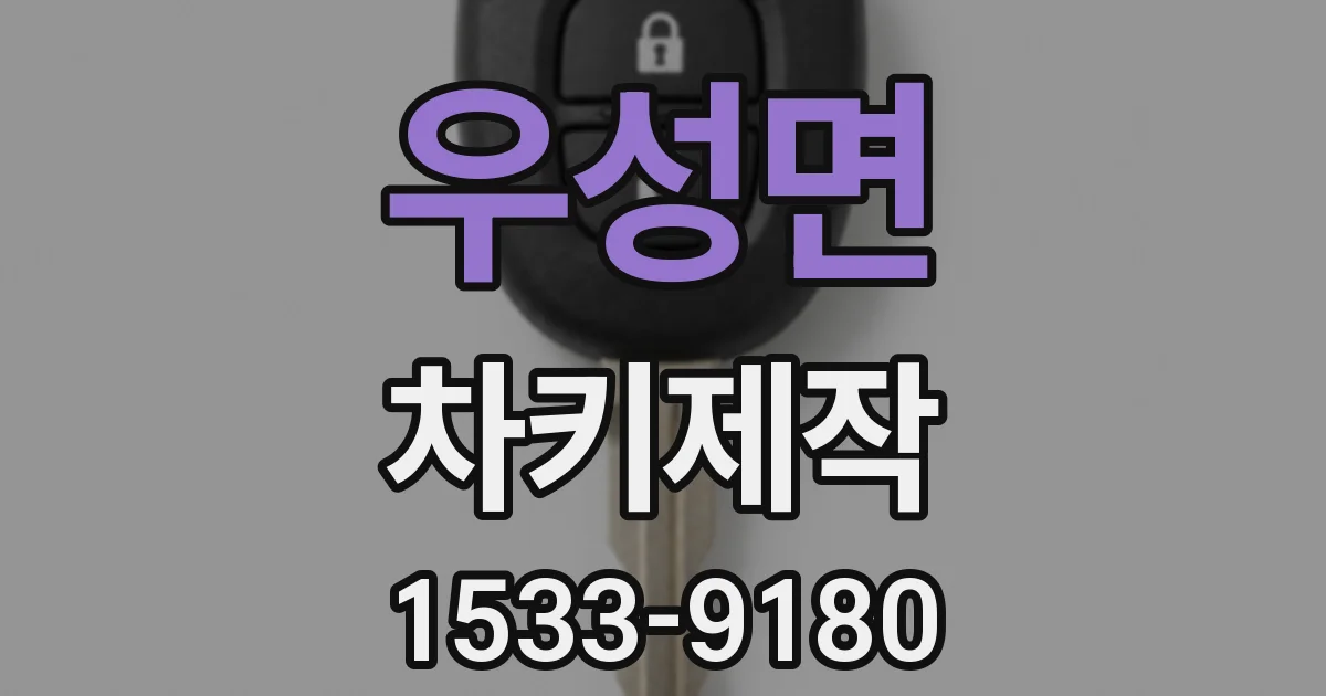 우성면 차키제작