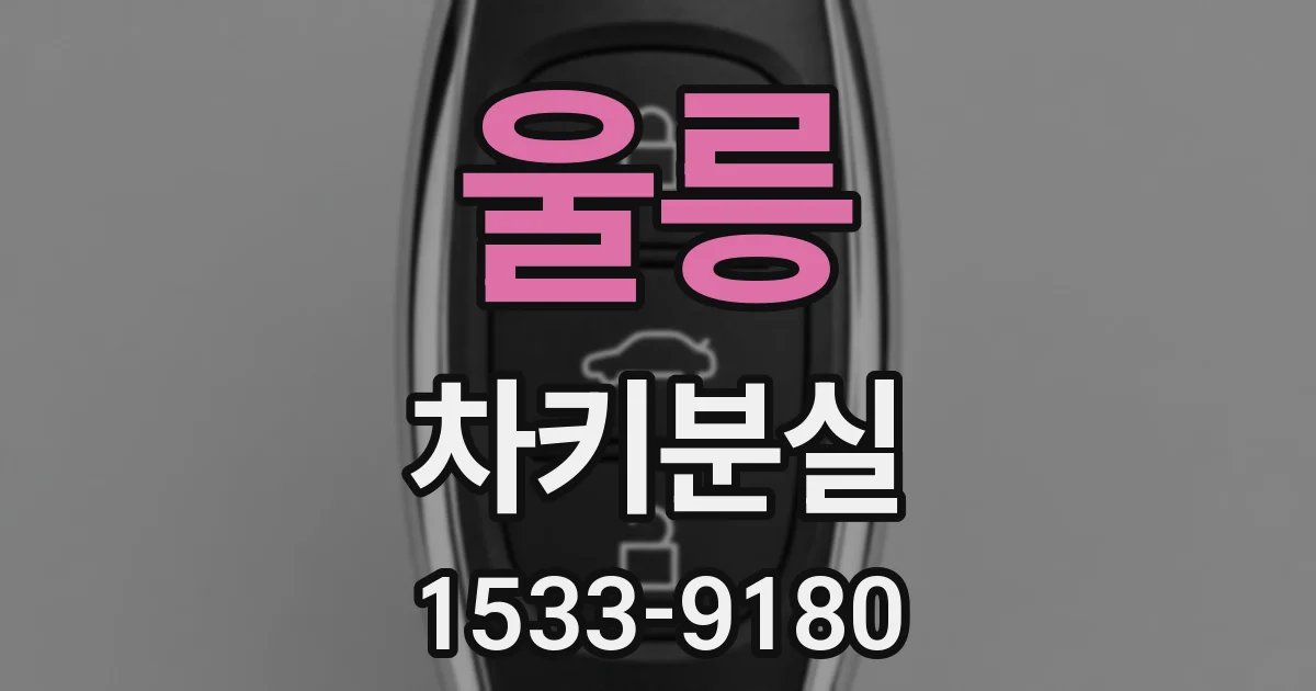 울릉 차키분실