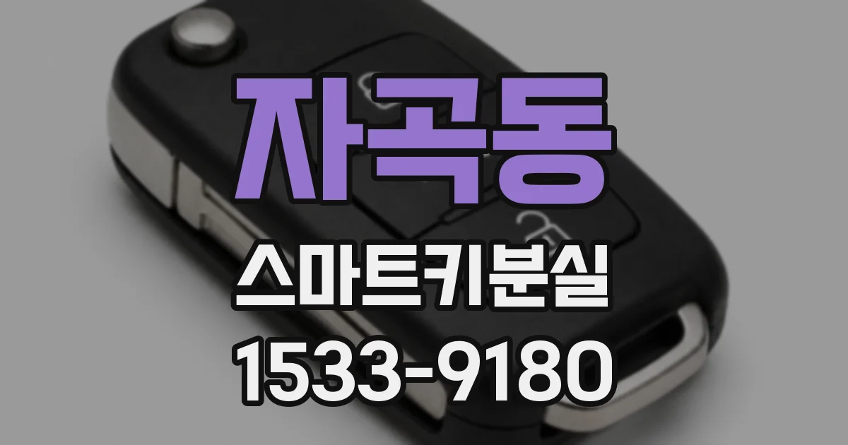 자곡동 스마트키분실