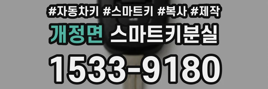 개정면 스마트키분실