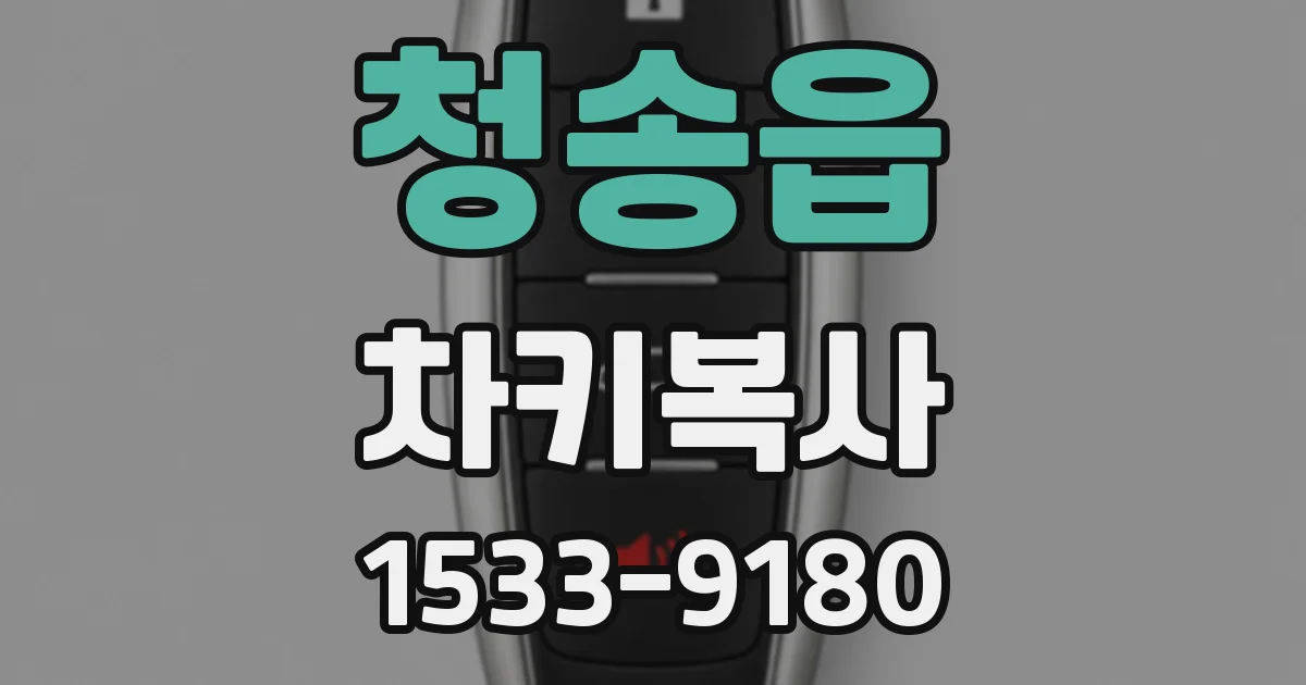 청송읍 차키복사