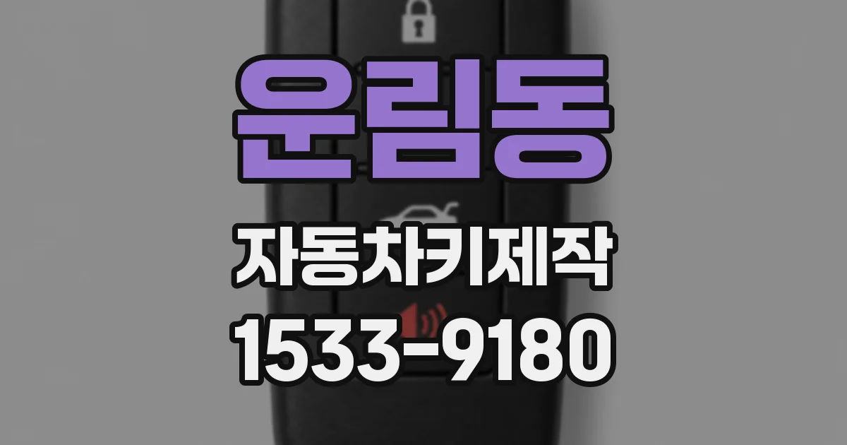 운림동 자동차키제작