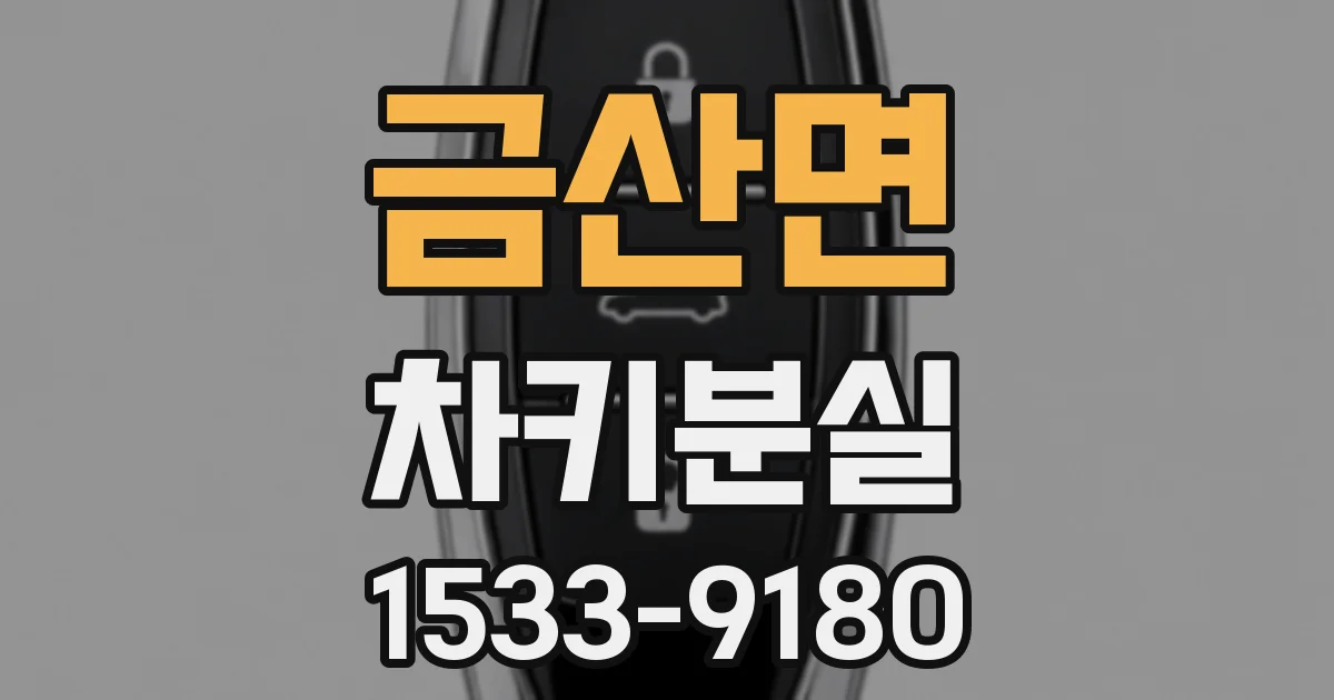 금산면 차키분실