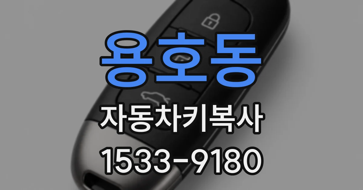 용호동 자동차키복사
