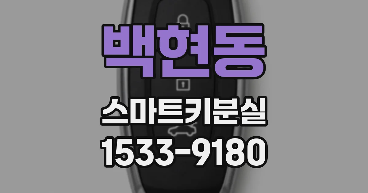 백현동 스마트키분실