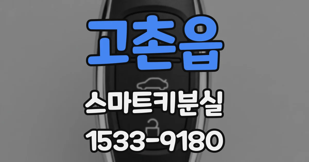고촌읍 스마트키분실
