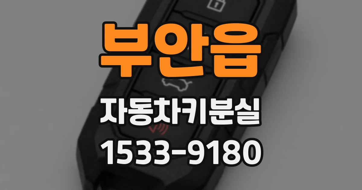 부안읍 자동차키분실