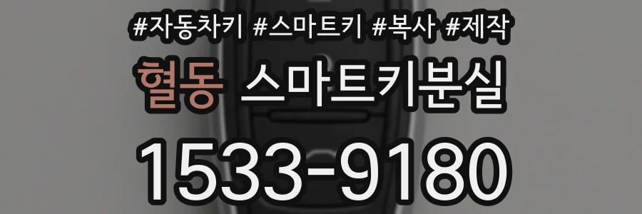 혈동 스마트키분실