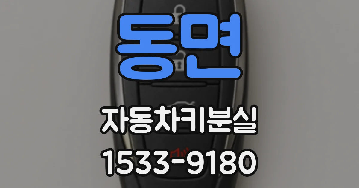 동면 자동차키분실