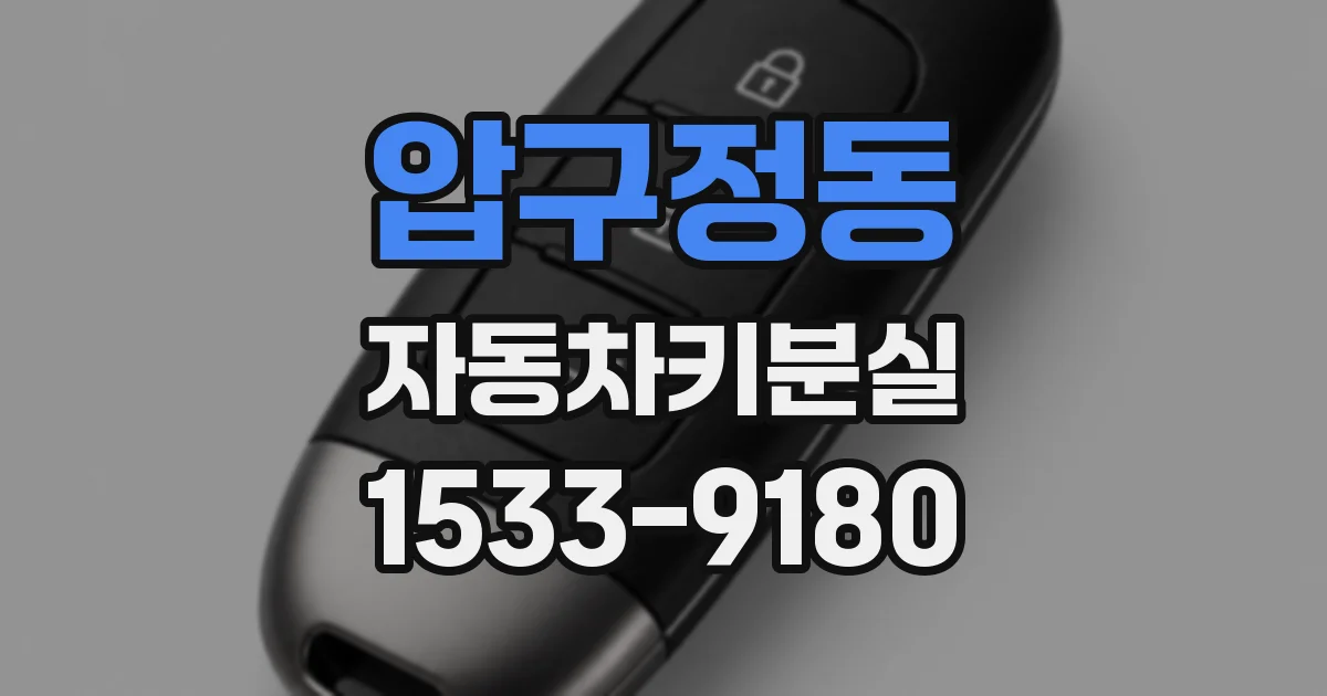 압구정동 자동차키분실