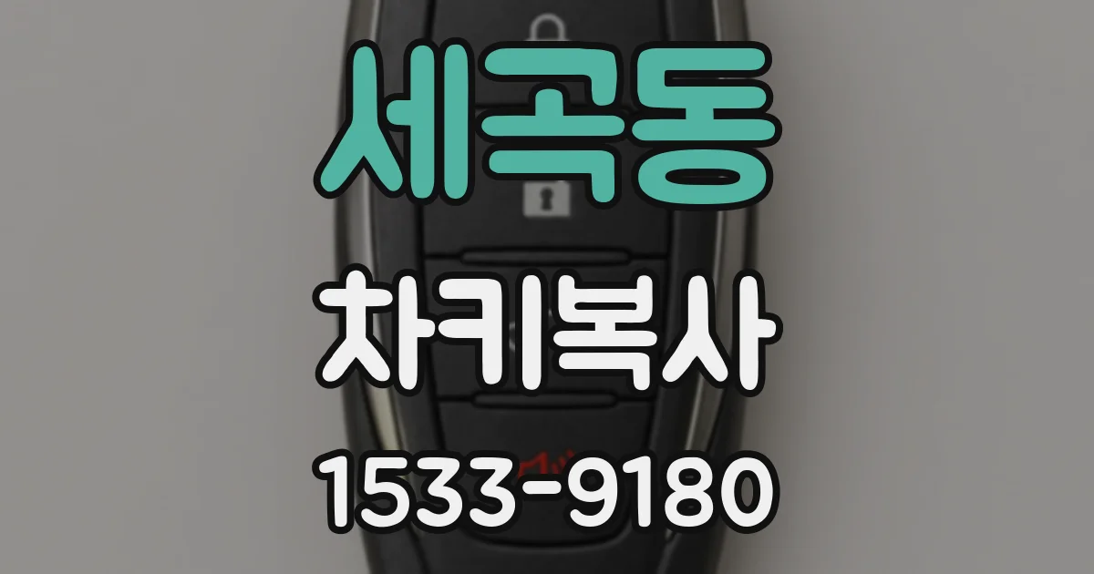 세곡동 차키복사