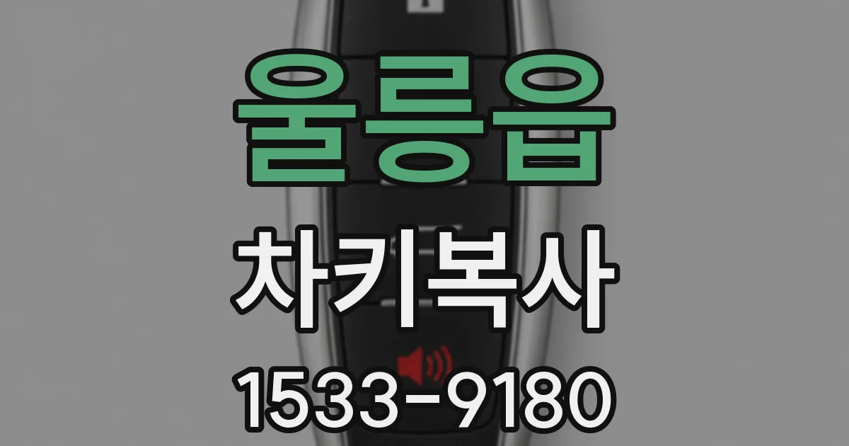 울릉읍 차키복사