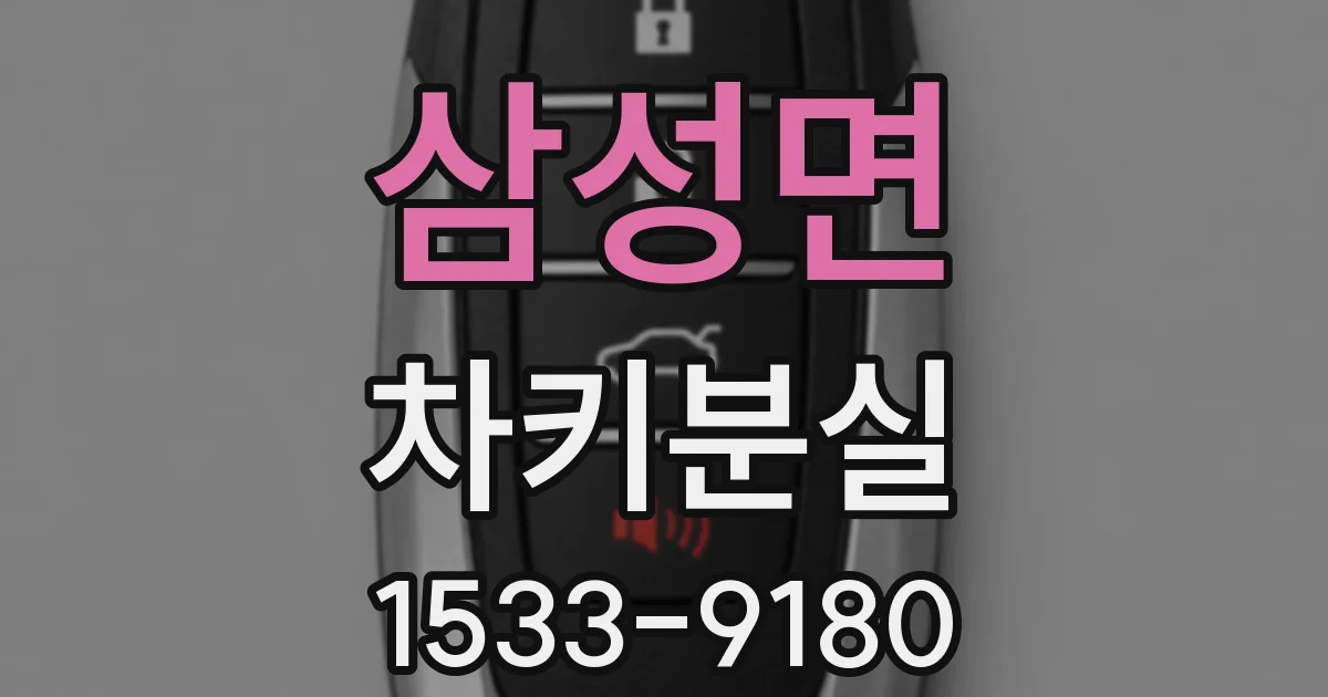 삼성면 차키분실