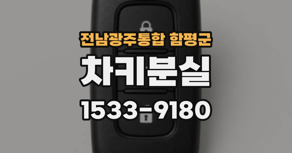 전남광주통합 함평군 차키분실
