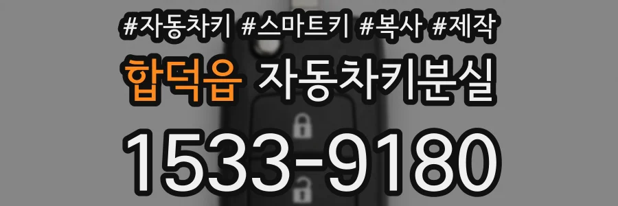 합덕읍 자동차키분실