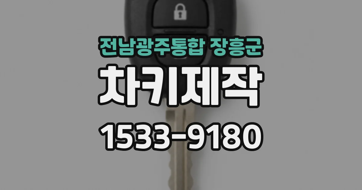 전남광주통합 장흥군 차키제작