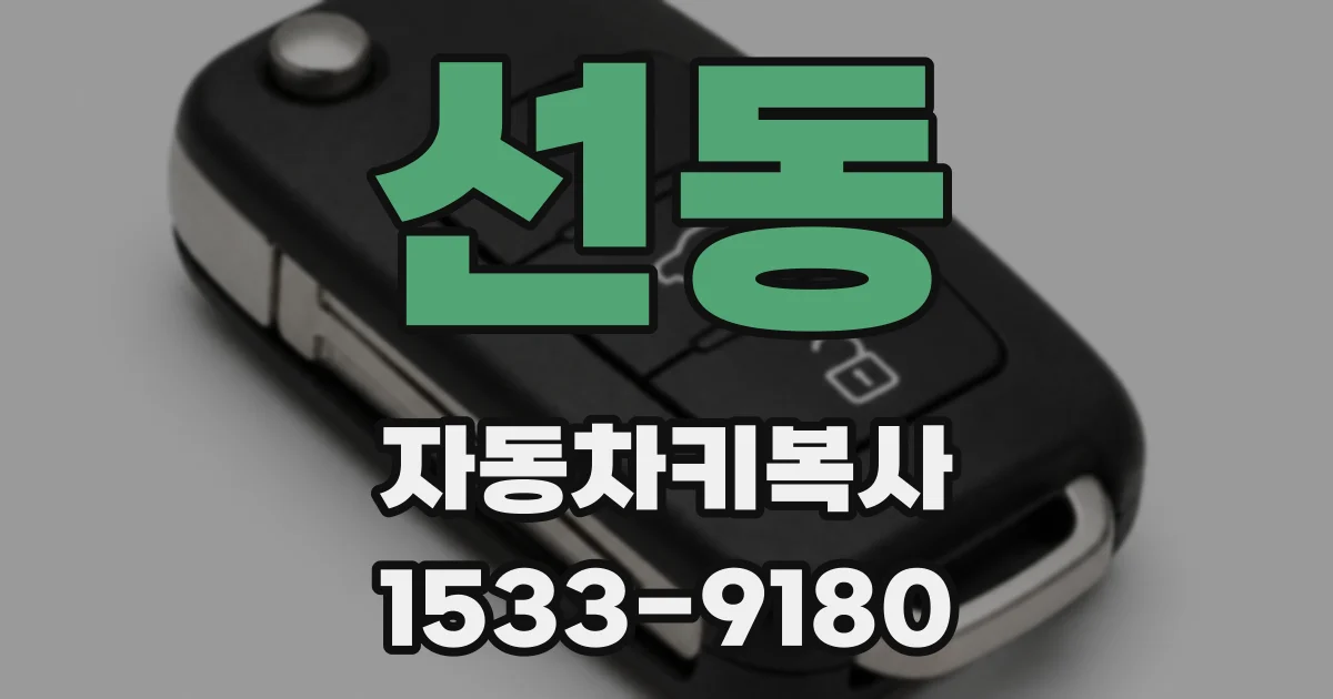선동 자동차키복사