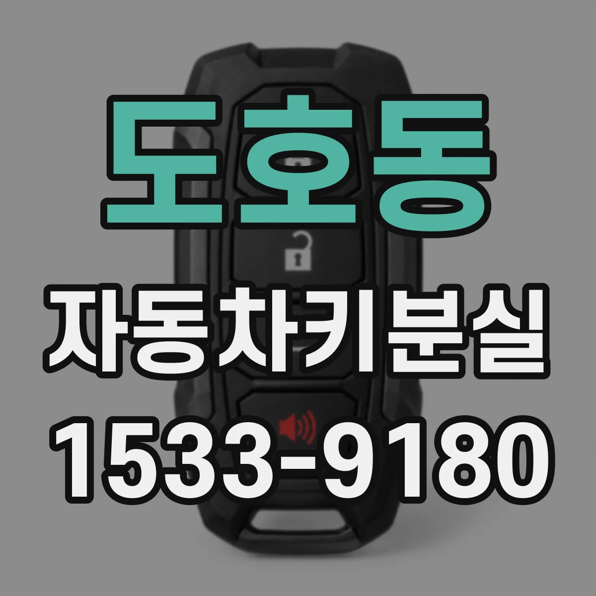 도호동 자동차키분실