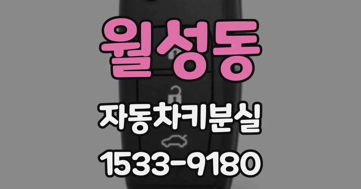 월성동 자동차키분실