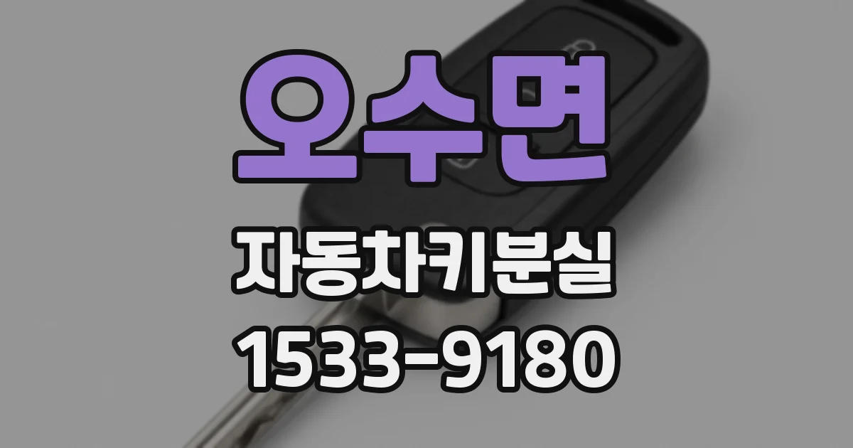 오수면 자동차키분실