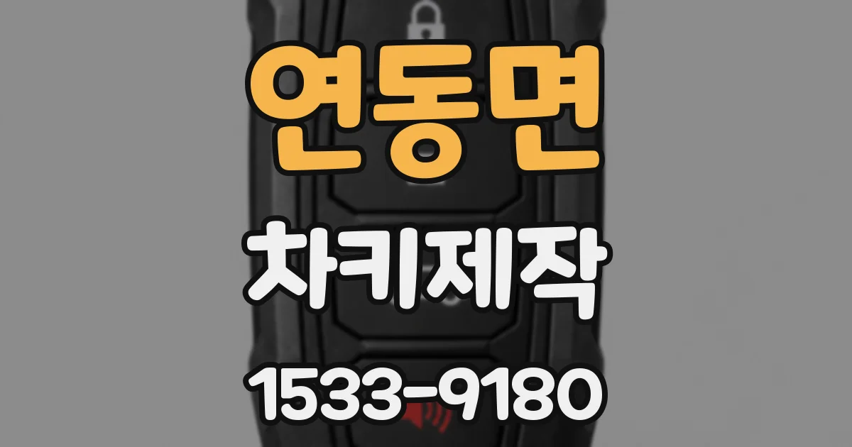 연동면 차키제작