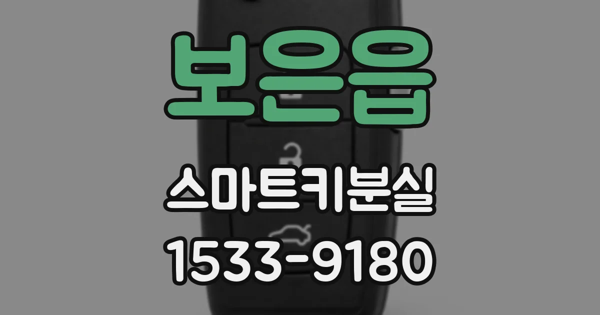보은읍 스마트키분실