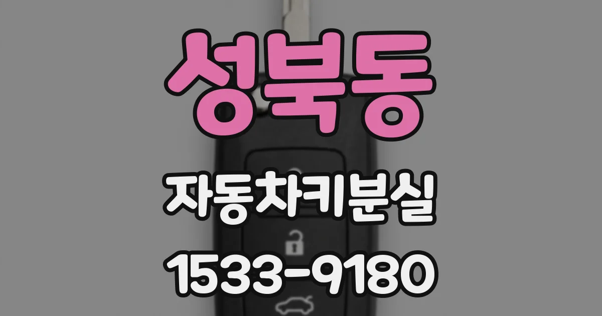 성북동 자동차키분실