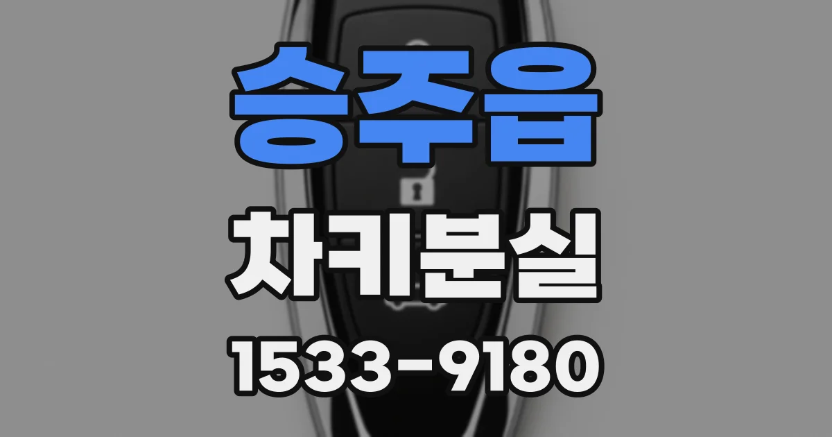 승주읍 차키분실