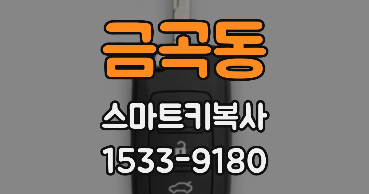 금곡동 스마트키복사