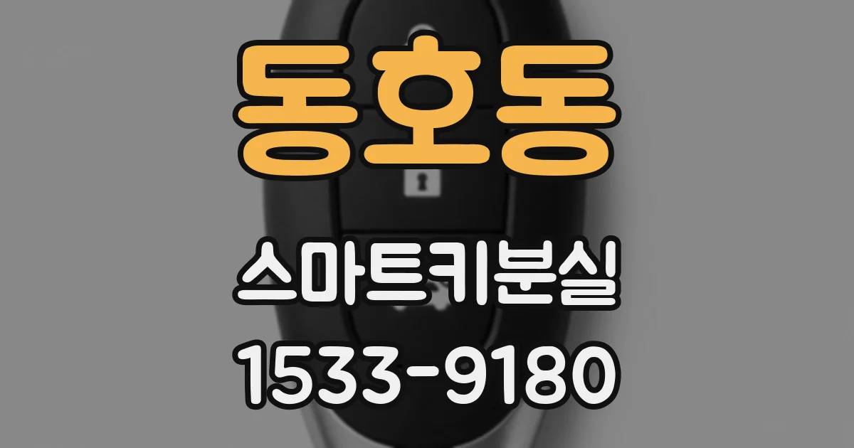 동호동 스마트키분실