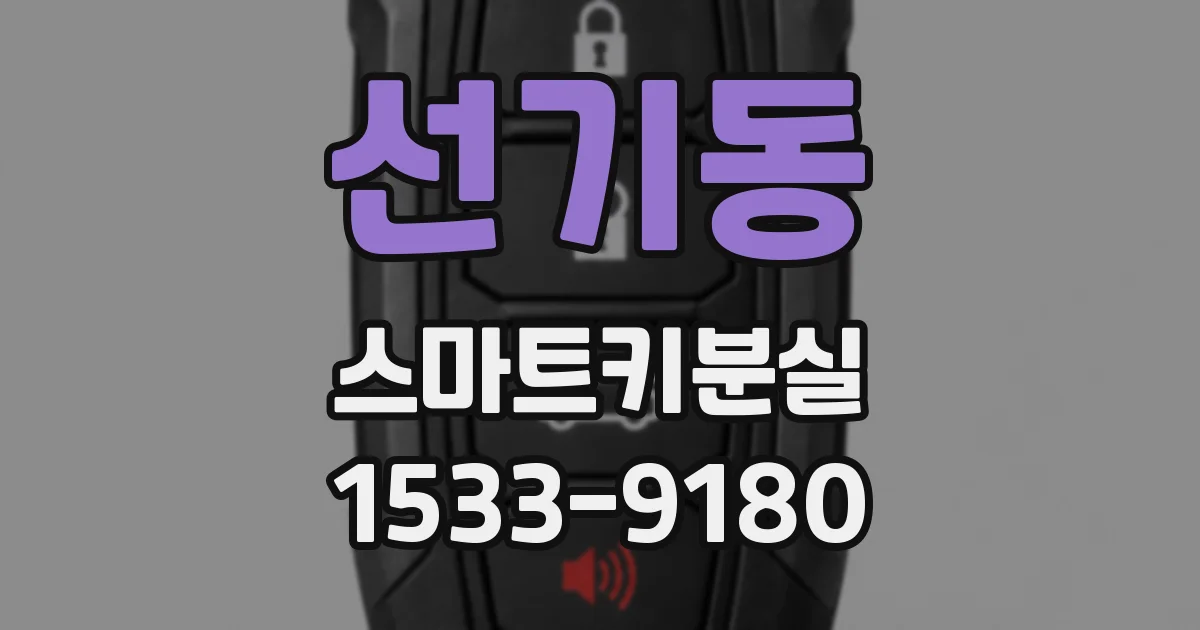 선기동 스마트키분실