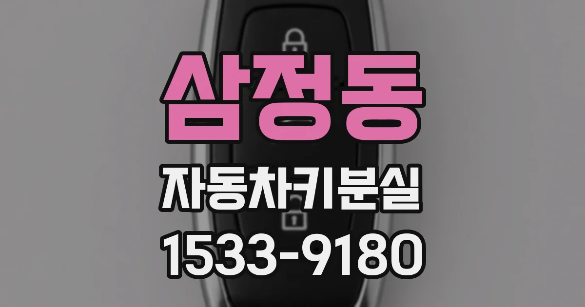 삼정동 자동차키분실
